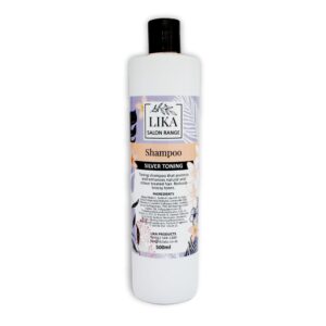Silver Shampoo - 500ml